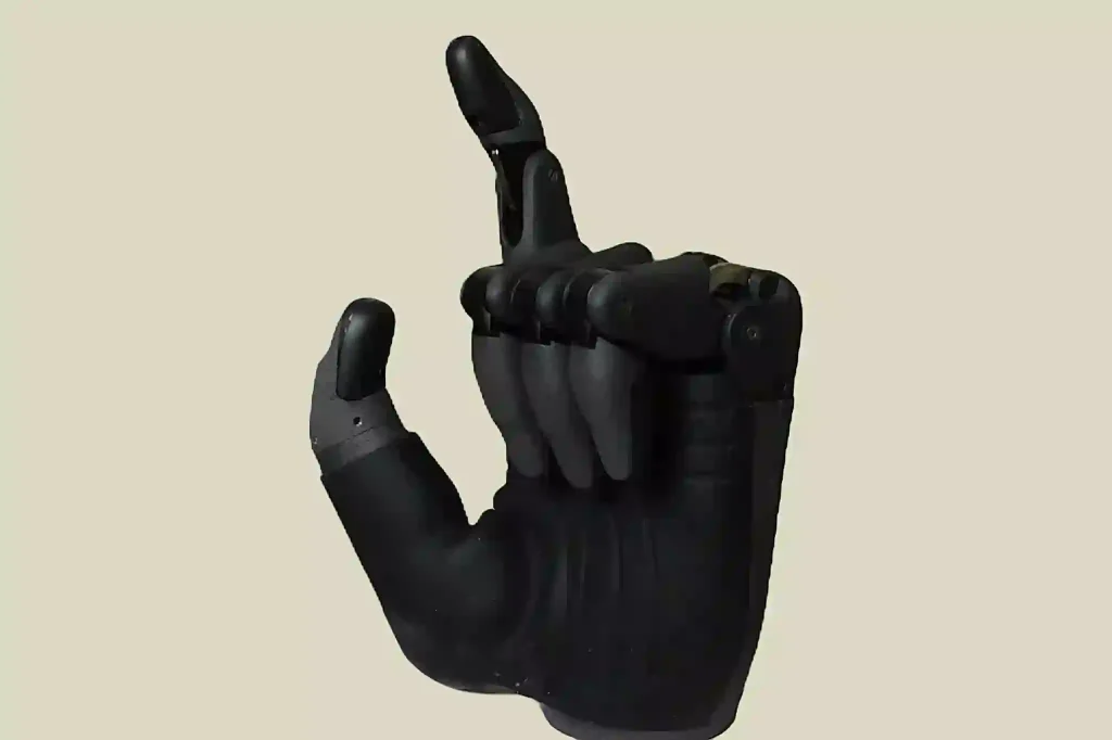 artificial hand for handicapped price explained