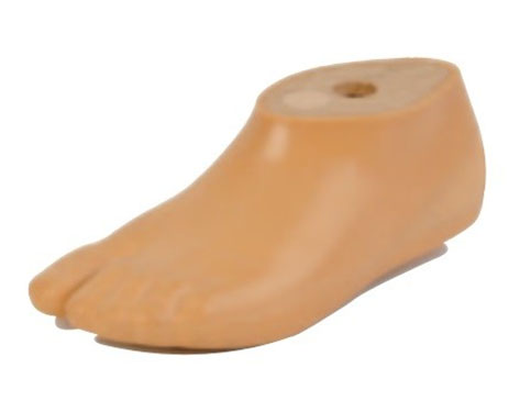 Prosthetic components: Part 2. Feet – artlimb
